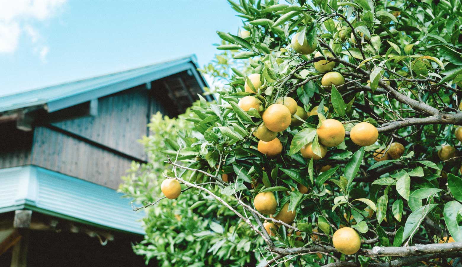 無理なく暮らせる住まい